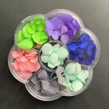 1Box Kuivatatud Lillede Komplekt Nail Art Kaunistusi 3D Lehe Segatud Küüned Kleebised Kuiv Õie sõbrapäeva UV-Geeli Maniküür Vihjeid 12Colors