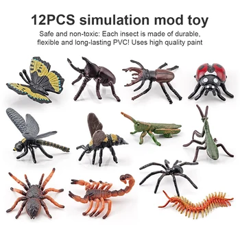 Pakendis 12 Simulatsiooni Putukate Kujukeste Haridus-Loomade Putukad Laste Interaktiivsed Mänguasjad Aksessuaar Kooli Klassiruumis