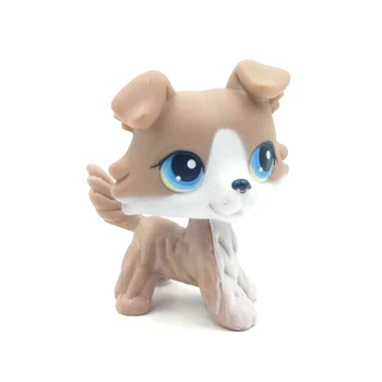 LPS KASS Vana originaal Loomade Littlest pet shop mänguasjad Nupp peaga koer, #67 hall & valge collie sinised silmad, päris haruldane anime toy