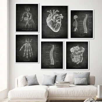 Vintage Inimese Anatoomia Plakati Kujundus Medical Pilt Seina Lihas-Skelett, Lõuend Print Maalimine Haigla Kliinik Decor
